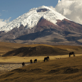 GORE-TEX wasserdicht